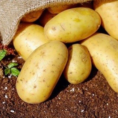 aardappelen vastkokend vitabella - velhorst - kg