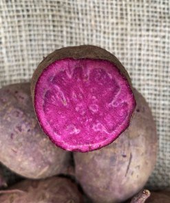 aardappelen paars - velhorst - kg