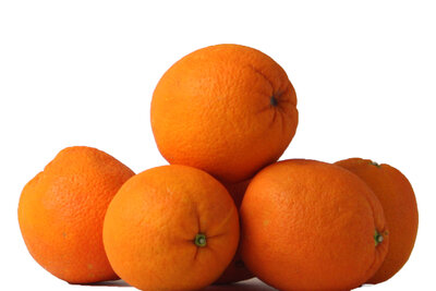 biologische sinaasappelen - kg