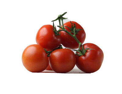 tomaten - 5 kg